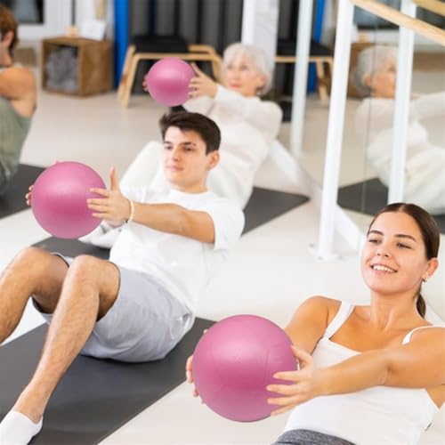 Ergugos ピラティスボール 15cm