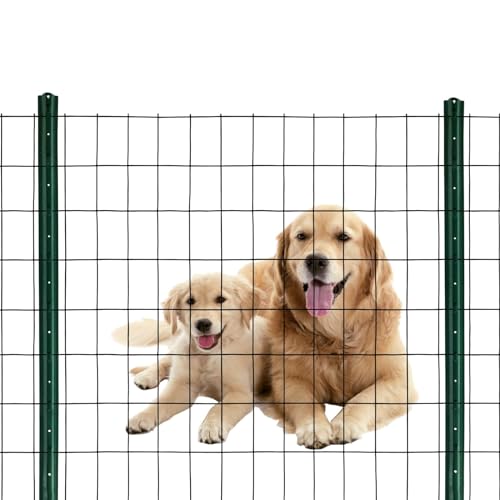 Black PVC Coated Welded Wire Mesh Garden Economy Fence 48 Inch x 50 Foot-3 Inch x 2 Inch 16GA