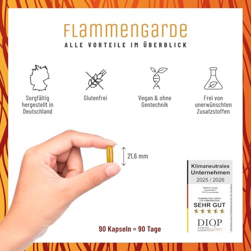 Weihrauch Kurkuma Ingwer Kapseln Hochdosiert - 196,1 mg Boswelliasäure, 133,3 mg Curcumin, Zimt, Gingerol & Piperin - Ohne chemische Entzündungshemmer oder Gelenkkapseln