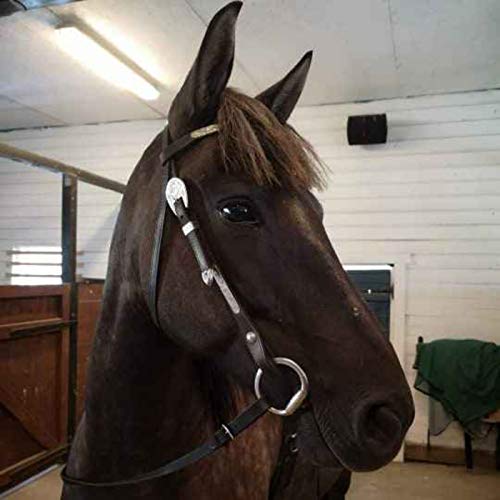 Annelie Hellstr&ouml;m