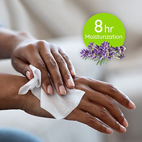 image for Wet Ones Antibacterial Hand Wipes, Lavender Wipes | Travel Wipes Case,
