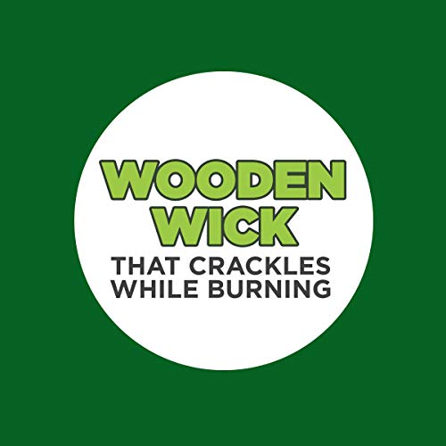 Coleman Scented Outdoor Citronella Candle With Wooden Crackle Wick - 6 Oz #TOP5