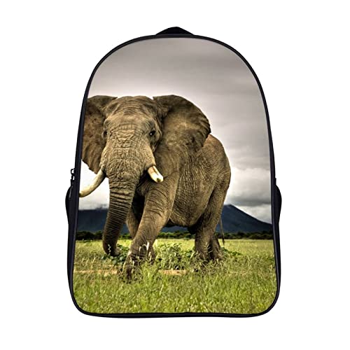 Sac à dos voyage pour enfants et adolescents look cool motif éléphant de prairie