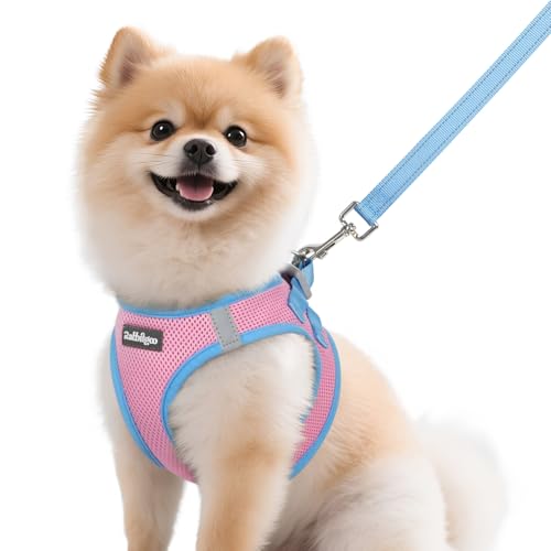 rabbitgoo Step-In Harness & Leash Set (Pink & Light Blue, Small M)