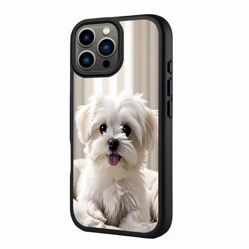 kadezia for iPhone 13 Pro Case 6.1 inch Cute Maltese Puppy, Compatible with MagSafe, Matte Semi Transparent, Adorable Realistic, Dog Lovers, Daily Gift