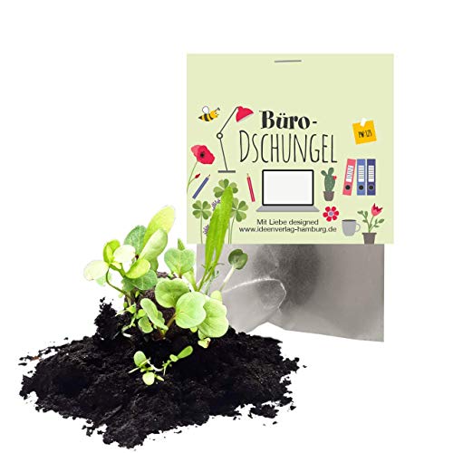 10 bombas de semillas "Büro-Dschungel" como regalo Cover