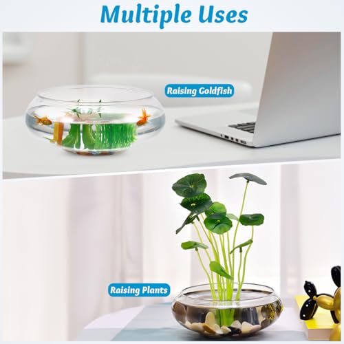 Image of Toddmomy 9.5 Inch Transparent Plastic Fish Bowls Set of 2 Small Round Aquarium Tanks for Desktop Home Office Wedding Decor
