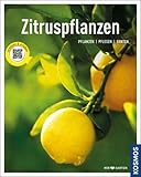Zitruspflanzen: gestalten - pflanzen - ernten (Mein Garten)
