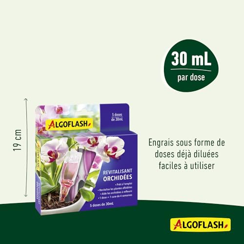 ALGOFLASH Monodose Revitalisierende Blumen auf Balkon und Terrasse, 5 Dosen, Monorchid, Violett