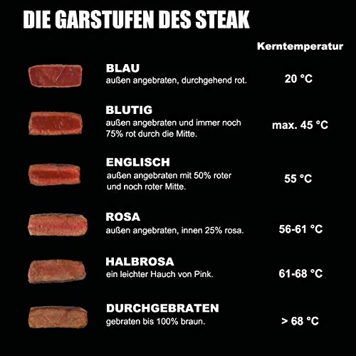 CAMPLUX SG102 Tragbar Oberhitze Gasgrill 3,2kW, Hochleistungs Steakgrill aus Edelstahl, 880°C...