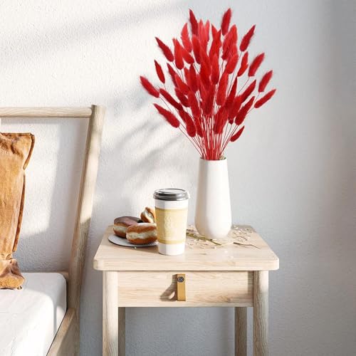 Pampas Grass Decor Tall 150Pcs Flores Secas Rojas miniatura 3
