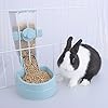RUBYHOME Pets Food Hanging Bowl for Crates & Cages Hanging Pet Cage Feeder for Small Animals Cats Puppies Ferrets Rabbit…