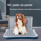 Generic B0FM3CH377 lato 2