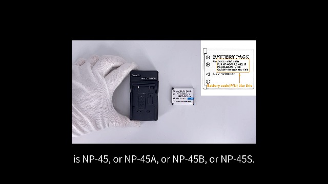 Chargeur Double Batteries Fujifilm NP-45A - Pour JV300 JX490 J29 E500 - NASHnal