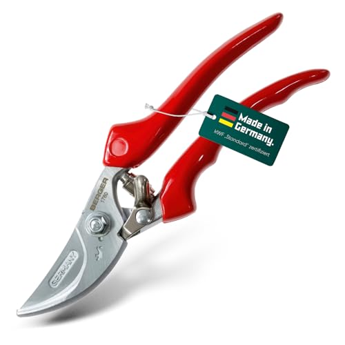 BERGER Handschere Bypass 1760 | Geschmiedete Gartenschere mit geradem Schneidkopf | Robuste Profi Blumenschere aus Metall mit Einhandverschluss | KWF-zertifiziert | Made in Germany BERGER Handschere Bypass 1760 | Geschmiedete Gartenschere mit geradem Schneidkopf | Robuste Profi Blumenschere aus Metall mit Einhandverschluss | KWF-zertifiziert | Made in Germany