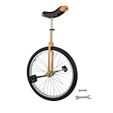 Generic 24-Inch Beginner Unicycle