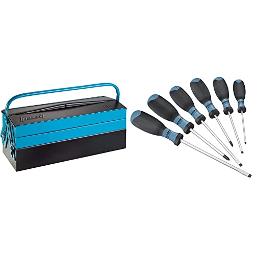 Hazet 190L boîte à outils durable en acier et tournevis de précision pour l'atelier