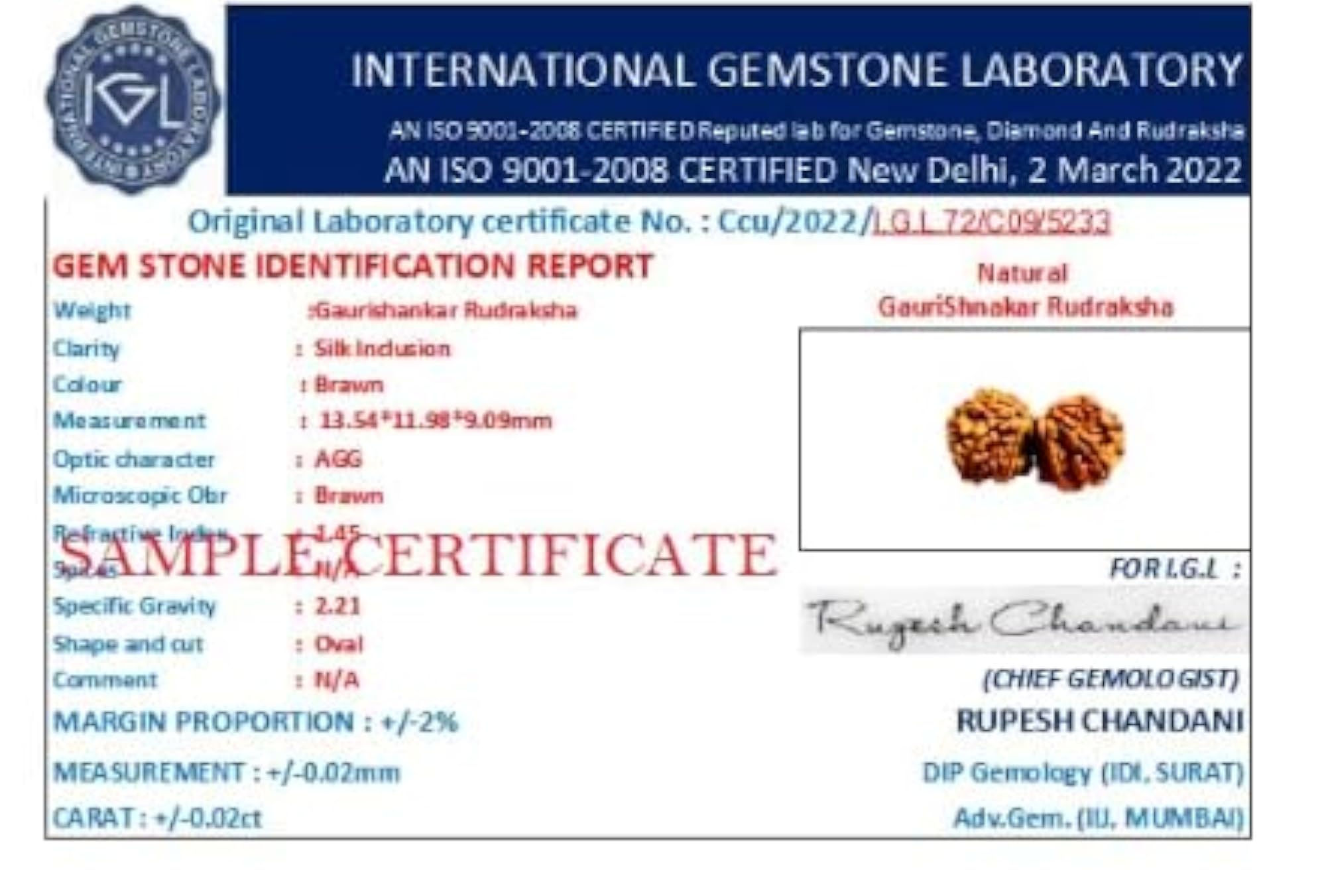 Genuine Gauri Shankar Rudraksha Joined Beads, Certified