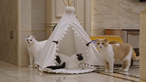 little dove Hunde Tipi Zelt Hause und Zelt mit Spitze für Hund oder Haustier, abnehmbar und waschbar mit Matraze(S)