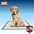Simple Solution Premium Dog and Puppy Training Pads, Pack of 100