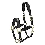 Back on Track Halfter Werano Pony