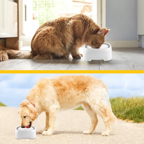 Wassernapf Hund Ohne Sabbern, Hunde Wassernapf, 1,5L Schwimmender Wassernapf für Haustiere, Trinknapf für Kleine, Mittlere und Große Hunde