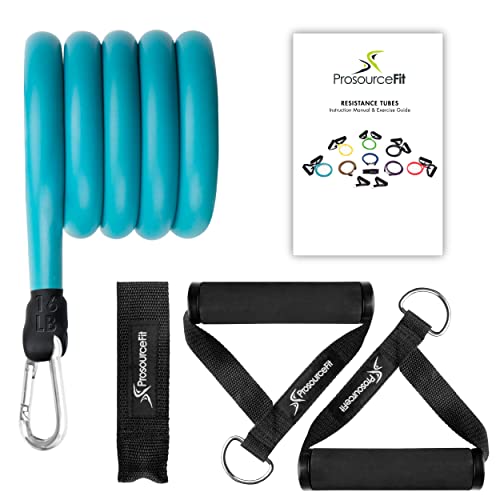Image of ProsourceFit Single Stackable Resistance Bands with Door Anchor and Exercise Guide, 8-12 LB, Heavy Duty Fitness Tube for Full-Body Exercises and Home Workouts