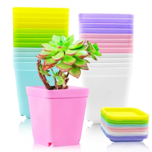 Haawooky 24 Pack Colorful Flower Pots Square...