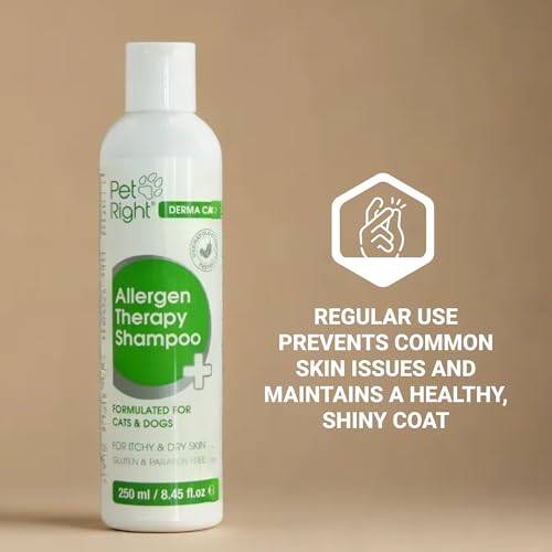 Pet Right Derma Care Hundeshampoo Allergen Therapie mit Pflanzenextrakten für Hunde und Katzen, Lindert Juckreiz und Gerüche, Sensitiv Formula 250 ml