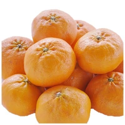 創業百八年 愛媛みかんの老舗(甘平2kg)家庭用(新口農園)(C70-10)