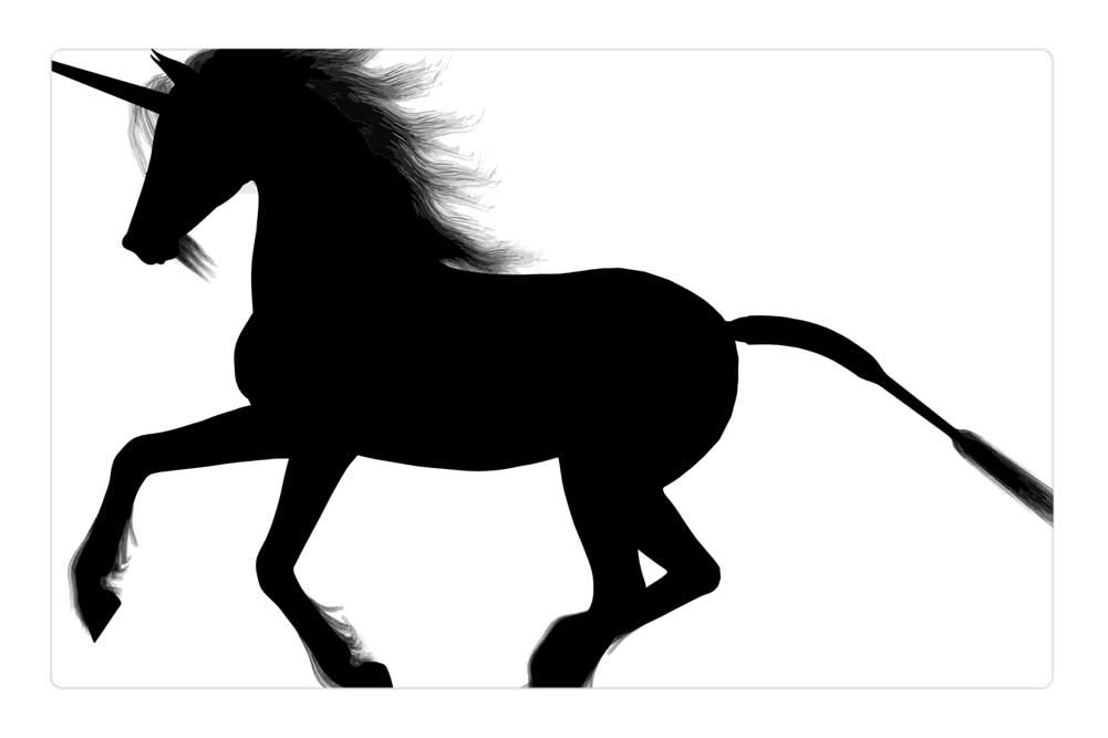 LESGAULEST Doormat Floor Rug/Mat (23.6 x 15.7 inch) - Unicorn Fantasy Animal Equine Horse Silhouette