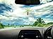 Tenna Tops Tropical Palm Tree Car Antenna Topper / Mirror Dangler / Desktop Bobble Buddy