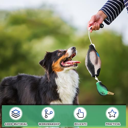 GOMETY Enten Dummy Stoßstange, Mallard Mimics Duck Stoßfänger Spielzeug, Dummy Hundetraining Trainer Für Falsche Enten, Jagdhundezubehör Für Das Training Der Jagdhund Retriever Fähigkeiten