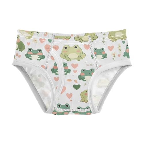 KLL Cute Frog Pattern Toddler Boys Pure Cotton Training Underwear Cute Undies