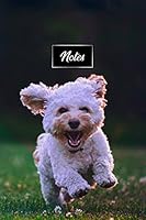 Poodle Dog Pup Puppy Doggie Notebook Bullet Journal Diary Composition Book Notepad - Run On Meadows: Cute Animal Pet Owner Composition Book with 100 Dotted Dot Grid Paper Pages in 6 x 9 Inch 1677256656 Book Cover