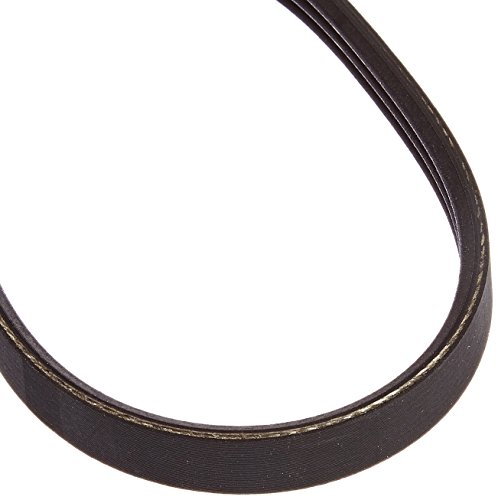 Motorcraft Cinghia di trasmissione a V JK3211A nera