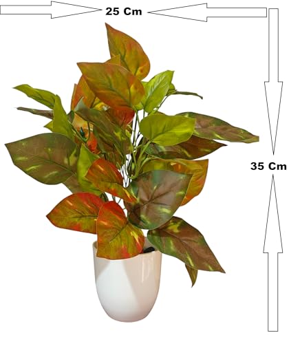 Image of Natural Looking Artificial Money Plant /Tree with Pot | Ornamental Plant for Interior Decor | Home /Shop /Office Decor (Orange)