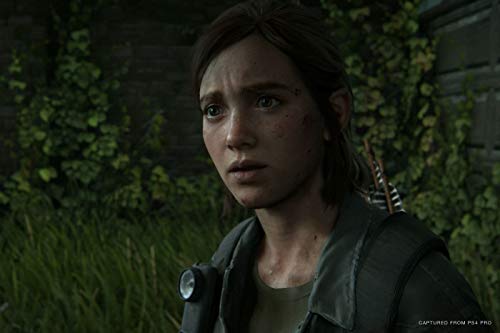 The Last of Us Part II - PlayStation 4 Collector's Edition