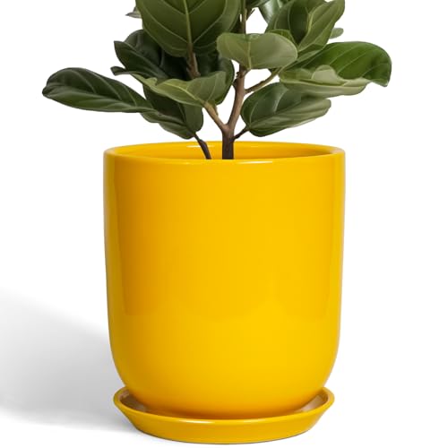 SUNPOTFOR Ceramic Pot