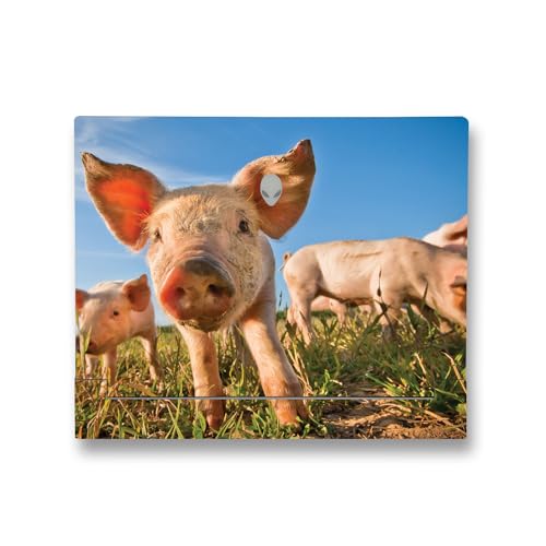 Image of MightySkins Skin Compatible with Alienware X14 R2 (2023) Full Wrap Kit - Pig Face | Protective, Durable, and Unique Vinyl Decal wrap Cover | Easy to Apply, Remove, and Change Styles | Made in The USA