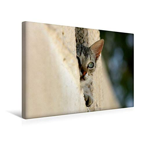 Preisvergleich Produktbild CALVENDO Blick in die Ferne