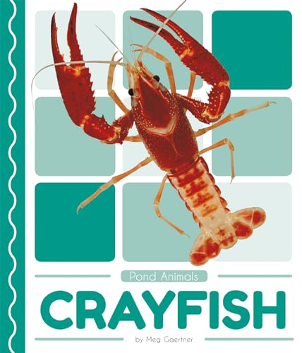Crayfish (Pond Animals)