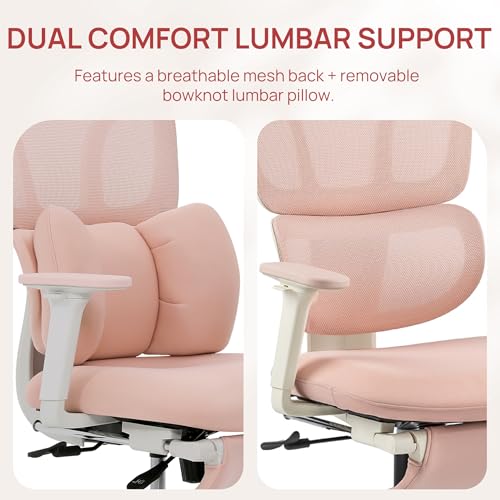 best ergonomic chair model comparison product image