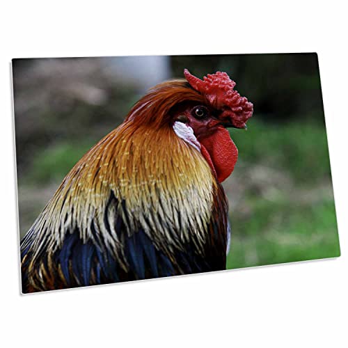 3dRose Anne Marie Baugh - Photography - Pad de escritorio