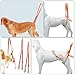 VANZACK Adjustable Dog Harness Pet Sling for Nail Trimming Dog Sling Carrier Lifter Comfortable Handle