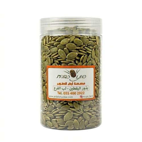 MUGO LAND Pumpkin Seed - 1000g