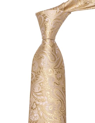 Image of YourTies Paisley Men's Necktie Woven Silk Floral Ties for Men Designer Formal Business Party Wedding