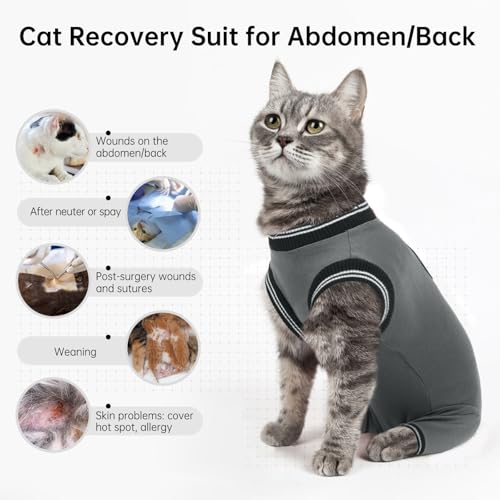 Katzenbody mit Beinen, Body Katze Nach Op Rüde leckschutz Katze kastration Katzenbody Hinterbeine Bandage Katze Hinterbeine Katzenschenkel Schutz(Grau, M)
