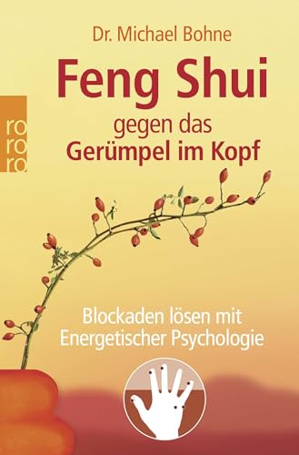 Feng Shui gegen das Gerümpel im Kopf: Blockaden lösen mit Energetischer Psychologie (Energetische Psychologie praktisch)
