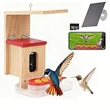 Hummingbird Feeder with Camera Solar Powered